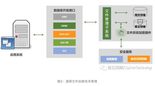 一文讀懂十大數(shù)據(jù)存儲加密技術