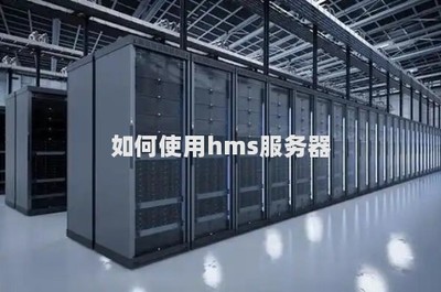 高效利用HMS服務器 數(shù)據(jù)處理與存儲支持全攻略