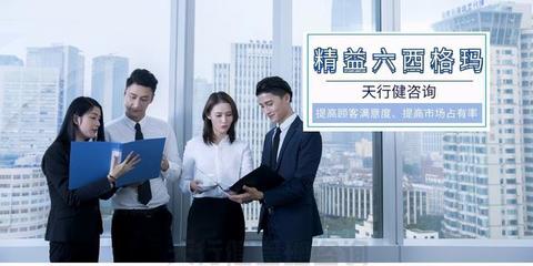 精益六西格瑪 驅動企業價值增長的雙引擎
